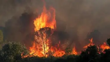 Incendio forestal deja dos muertos en Francia Incendio forestal deja dos muertos en Francia