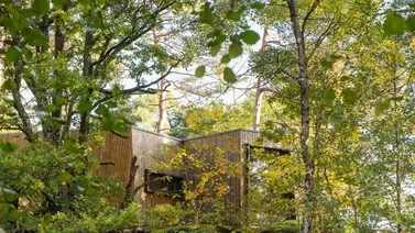 Conoce todo sobre el hospital verde de Noruega Conoce todo sobre el hospital verde de Noruega