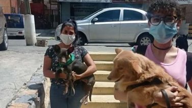 Servicio Público: Refugio Canino El Valle solicita ayuda