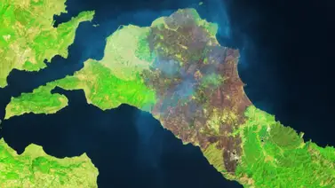 Imágenes por satélite muestran la magnitud de los incendios forestales en Grecia Imágenes por satélite muestran la magnitud de los incendios forestales en Grecia