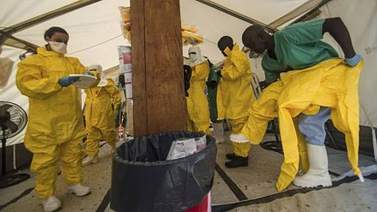 Detectan por primera vez en África occidental un virus altamente infeccioso similar al ébola