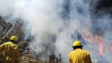Incendio en los Andes de Perú abarca 2.200 hectáreas Incendio en los Andes de Perú abarca 2.200 hectáreas