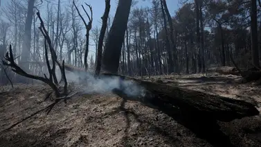 La ciencia admite efectos irreversibles del cambio climático en el planeta La ciencia admite efectos irreversibles del cambio climático en el planeta