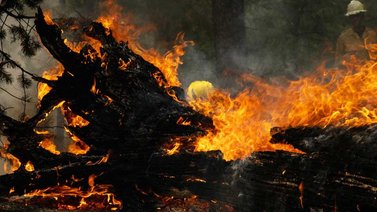 incendio forestal destruye el pueblo histórico de Greenville en EE.UU.