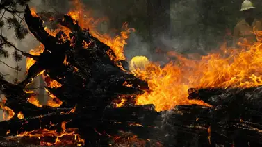 incendio forestal destruye el pueblo histórico de Greenville en EE.UU. incendio forestal destruye el pueblo histórico de Greenville en EE.UU.