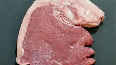 Asier Sanz gana World Humor Awards por caricaturizar a Trump con una chuleta Asier Sanz gana World Humor Awards por caricaturizar a Trump con una chuleta