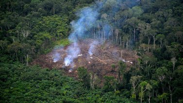 Científicos advierten rápido deterioro de los signos vitales de la Tierra