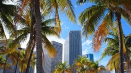 La ciudad de Miami se convertirá en la capital del Bitcoin