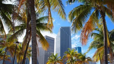 La ciudad de Miami se convertirá en la capital del Bitcoin