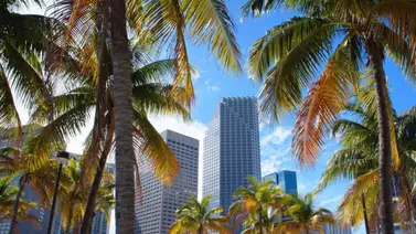 La ciudad de Miami se convertirá en la capital del Bitcoin La ciudad de Miami se convertirá en la capital del Bitcoin