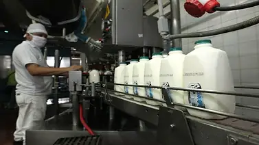 Invelecar: Venezuela tiene el consumo de leche más bajo de Latinoamérica Invelecar: Venezuela tiene el consumo de leche más bajo de Latinoamérica