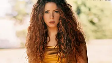 Shakira está a un paso de juicio por un fraude fiscal de 14,5 millones de euros Shakira está a un paso de juicio por un fraude fiscal de 14,5 millones de euros