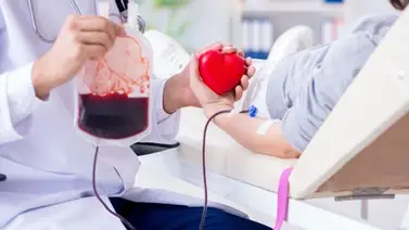 Donar sangre y sus beneficios para el cuerpo Donar sangre y sus beneficios para el cuerpo