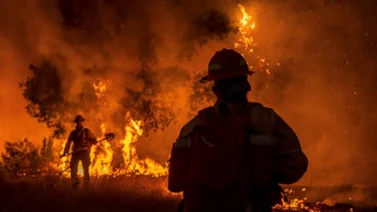 Más de 22.000 bomberos combaten 86 grandes incendios en Estados Unidos