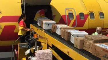 Las "bolsas mayameras" resuelven a los venezolanos Las "bolsas mayameras" resuelven a los venezolanos