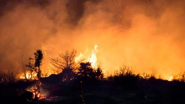 Incendio forestal afecta el noreste de España