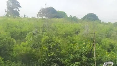 Reportan vehículo incendiado en la Autopista Gran Mariscal de Ayacucho (+ VIDEO)