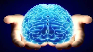 Día Mundial del Cerebro: enfermedades y cuidados