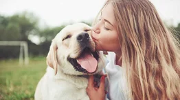 El perro: el mejor amigo del hombre