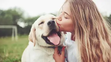 El perro: el mejor amigo del hombre El perro: el mejor amigo del hombre