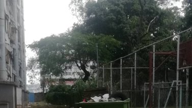 Vecinos de El Recreo claman mejoras en la recolección de basura