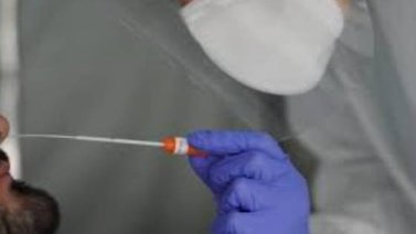 Estudio señala anticuerpos de la covid persistentes 9 meses tras infección