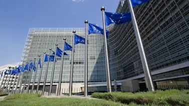 Comisión Europea propone plantar 3.000 millones de árboles en la UE para 2030 Comisión Europea propone plantar 3.000 millones de árboles en la UE para 2030