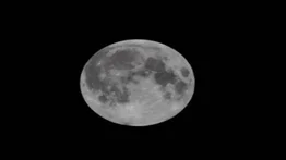 Un millón de personas hicieron reservas para el primer viaje turístico a la Luna