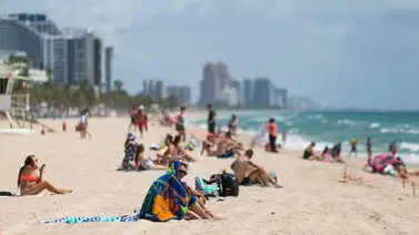 Un niño de 11 años es mordido por un tiburón en una playa de Florida Un niño de 11 años es mordido por un tiburón en una playa de Florida