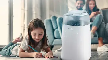 Crea un hogar apto para asmáticos Crea un hogar apto para asmáticos