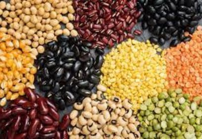 Proteínas vegetales y sus beneficios para el organismo Proteínas vegetales y sus beneficios para el organismo