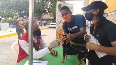 Más de 200 animales son atendidos por la Misión Nevado en Aragua