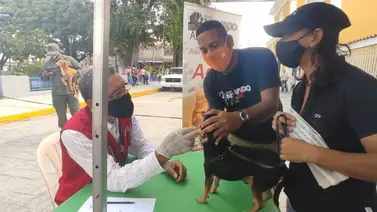 Más de 200 animales son atendidos por la Misión Nevado en Aragua Más de 200 animales son atendidos por la Misión Nevado en Aragua