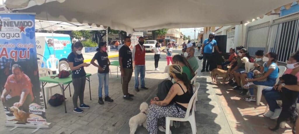 Más de 200 animales son atendidos por la Misión Nevado en Aragua Más de 200 animales son atendidos por la Misión Nevado en Aragua