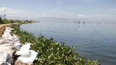 Bomberos buscan a una persona desaparecida en el lago Los Tacarigua Bomberos buscan a una persona desaparecida en el lago Los Tacarigua