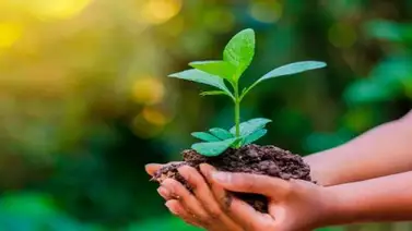 Hoy se celebra el Día Internacional de la Conservación del Suelo Hoy se celebra el Día Internacional de la Conservación del Suelo