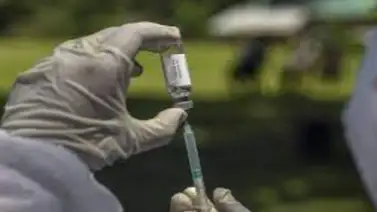 Berlín insta a la vacunación para evitar repunte de contagios en otoño Berlín insta a la vacunación para evitar repunte de contagios en otoño