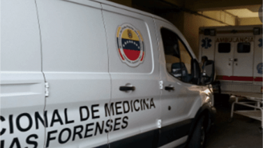 Un niño de seis años fallece tras caerle un portón encima