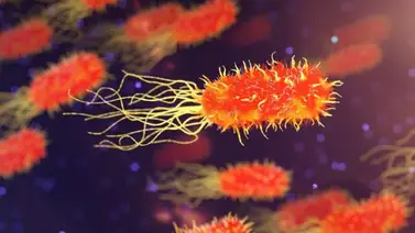 Científicos descubren que en la actualidad hay una forma de vida microbiana Científicos descubren que en la actualidad hay una forma de vida microbiana