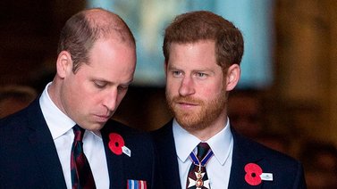William y Harry se reúnen para develar la estatua de la princesa Diana