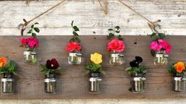 Pasos para realizar un jardín vertical ecológico