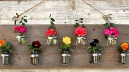 Pasos para realizar un jardín vertical ecológico