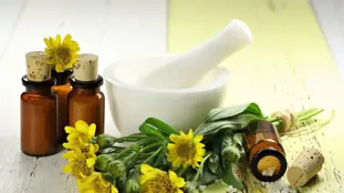 La hoja de árnica alivia los dolores en el cuerpo La hoja de árnica alivia los dolores en el cuerpo