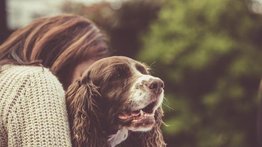 El encierro evita abandono de mascotas domésticas
