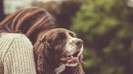 El encierro evita abandono de mascotas domésticas