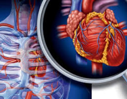 Cómo se diagnostica la hipertensión arterial Cómo se diagnostica la hipertensión arterial