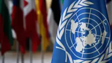 ONU: El consumo de cannabis y sedantes aumentó durante la pandemia de covid ONU: El consumo de cannabis y sedantes aumentó durante la pandemia de covid