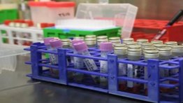 Identifican las moléculas que frenan la entrada del coronavirus en la célula