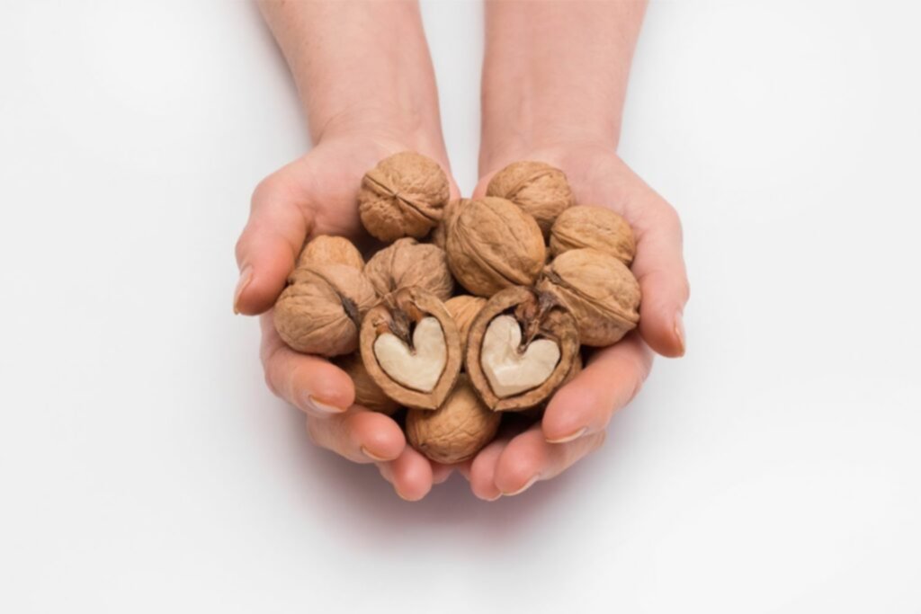 Nueces, un excelente complemento nutritivo