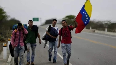 Refugiados y migrantes venezolanos reciben una ayuda de 954 millones